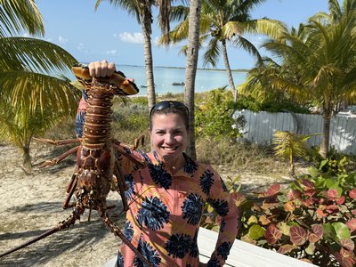 Discover sea creatures on the reef