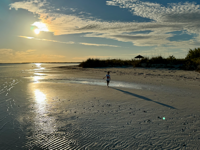 Walk the flats at low tide