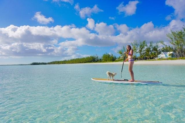 Ride on the paddle board