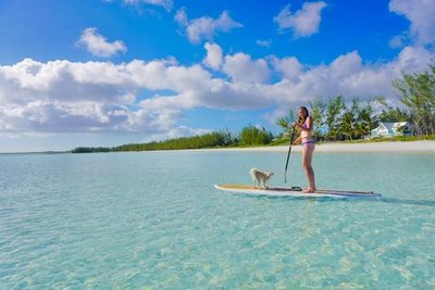 Ride on the paddle board