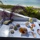 Personalized Guest Services